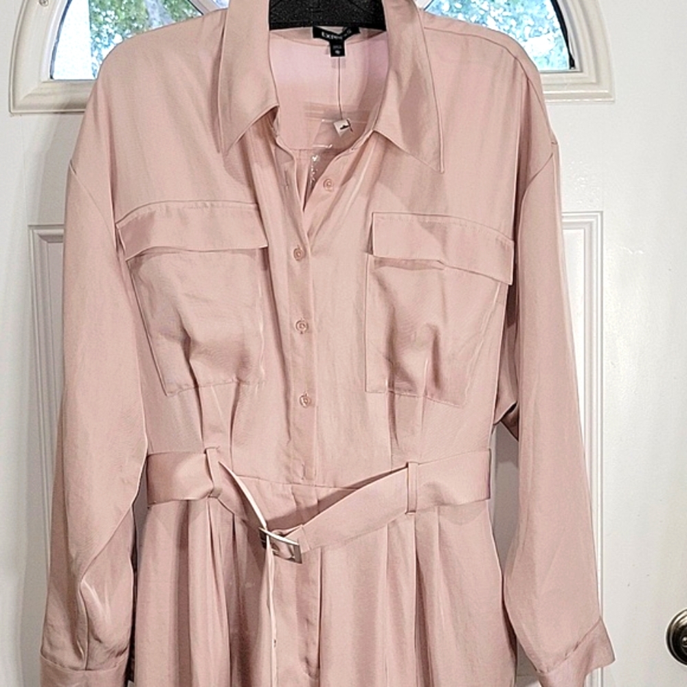 Express Jumpsuit with Belt Powder Pink Size XL - Picture 4 of 7